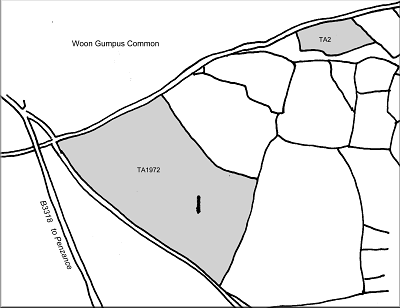Boswens menhir location
