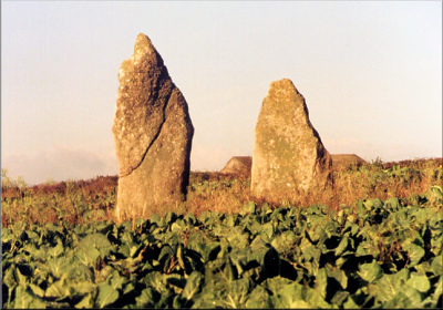 Higher Drift menhirs